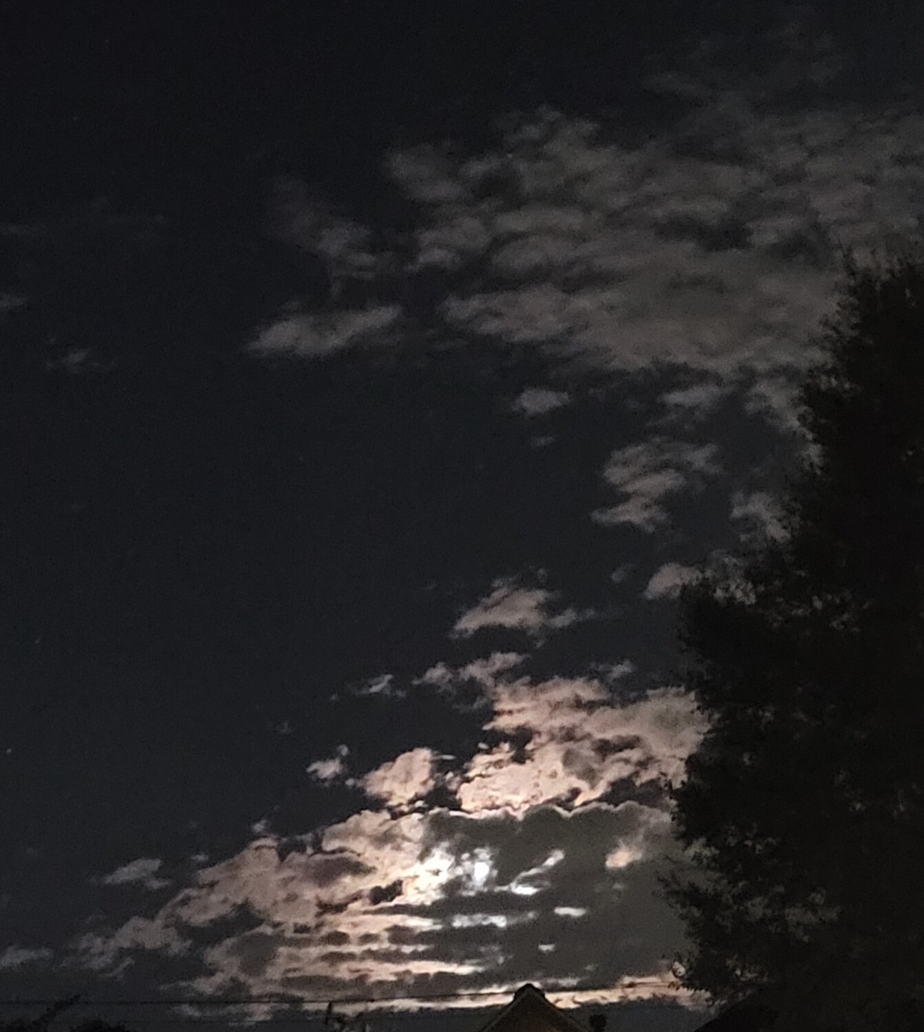 Mesmerized by nature