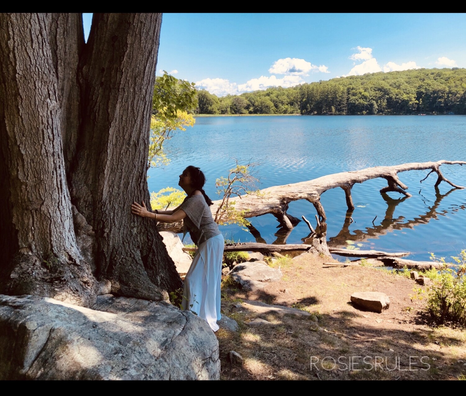 Abrázame madre! (Hug me mother!)