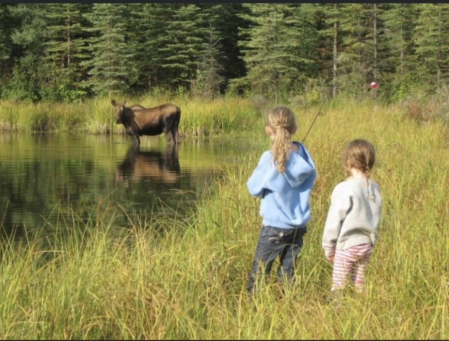 Moose fishing
