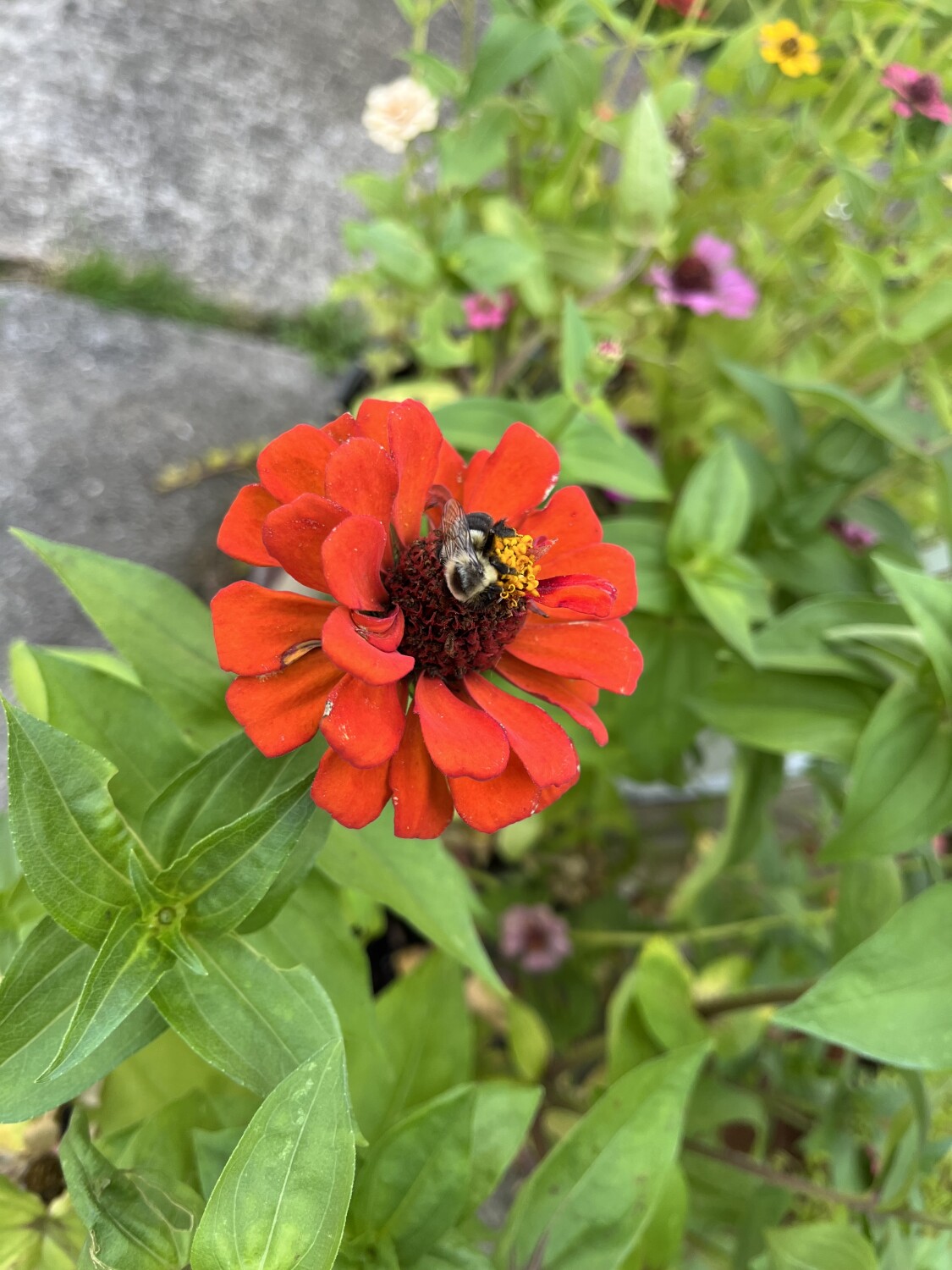 Shhhh. He’s sleeping.