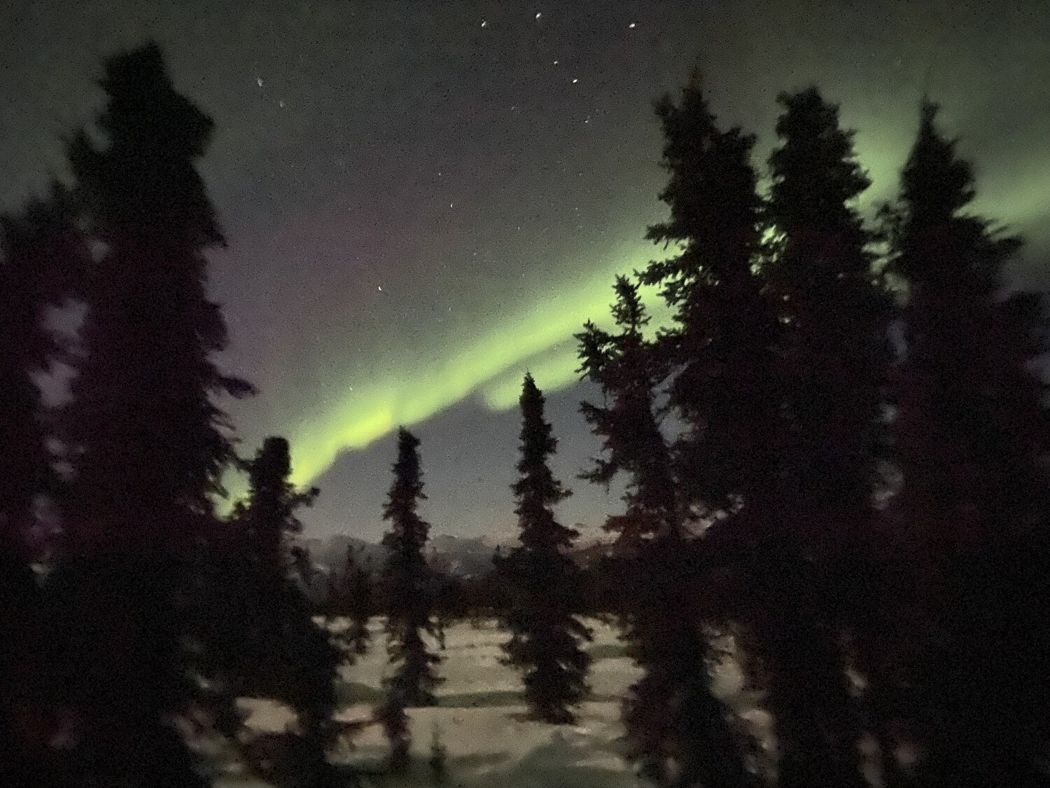 Northern Lights