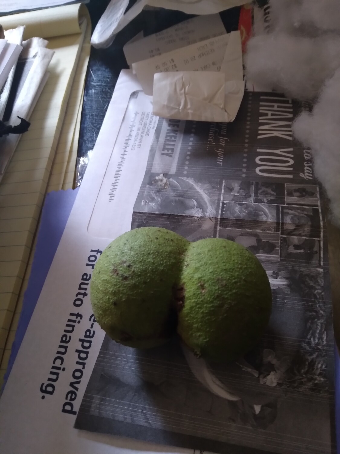 Conjoined Allnut Walnuts