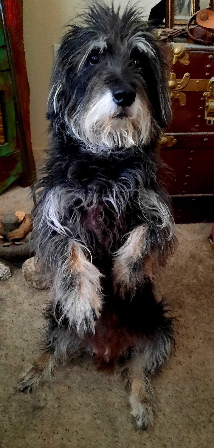 Hello, my name is "Daniel"