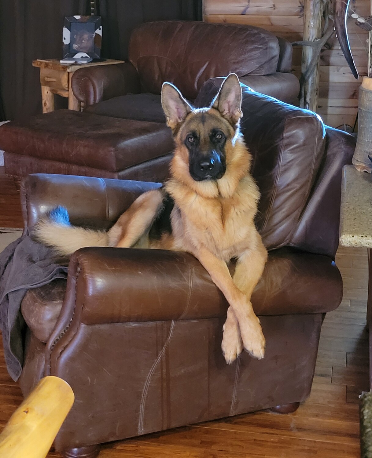 My best buddy Wilson!