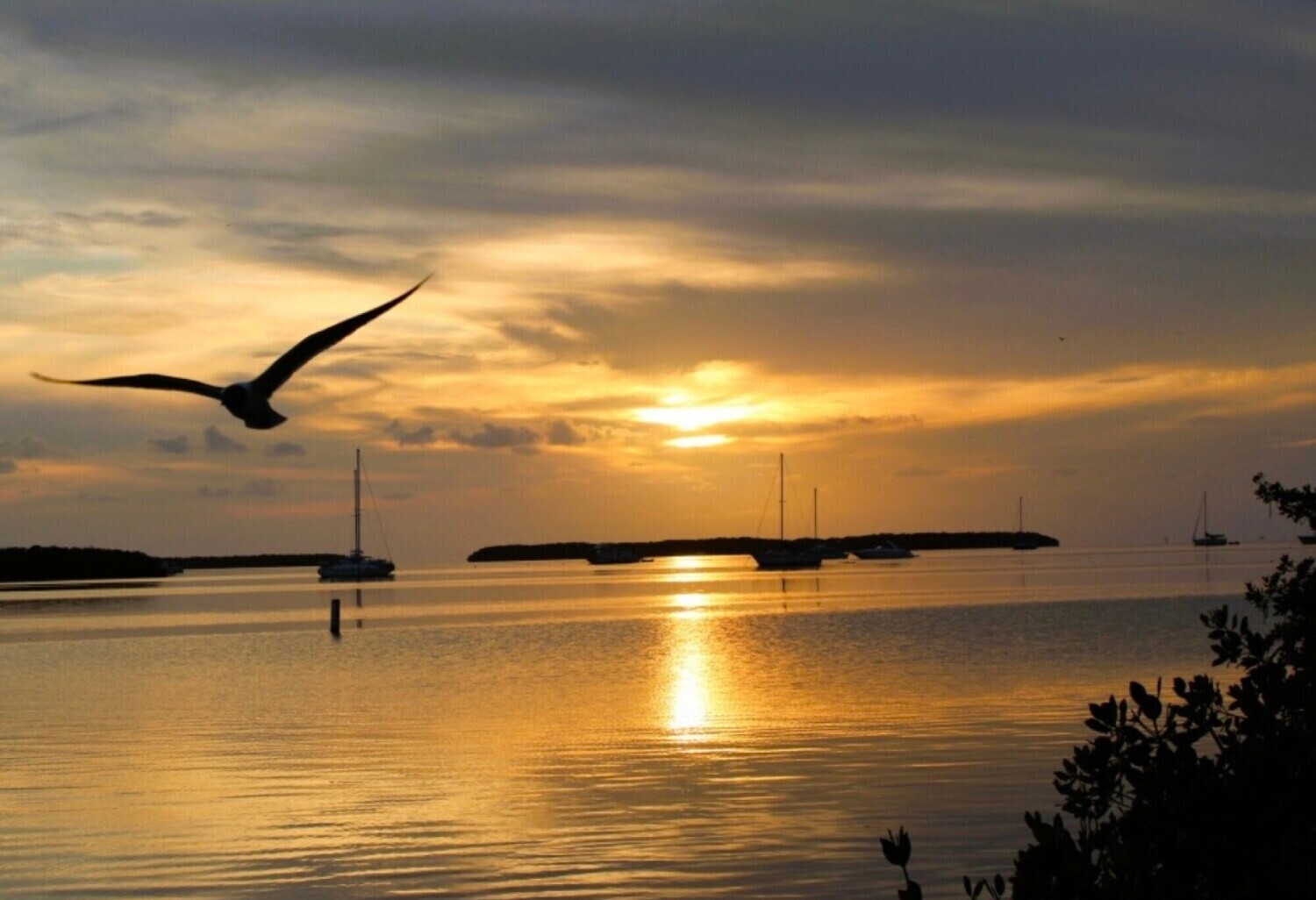 Peaceful Feeling