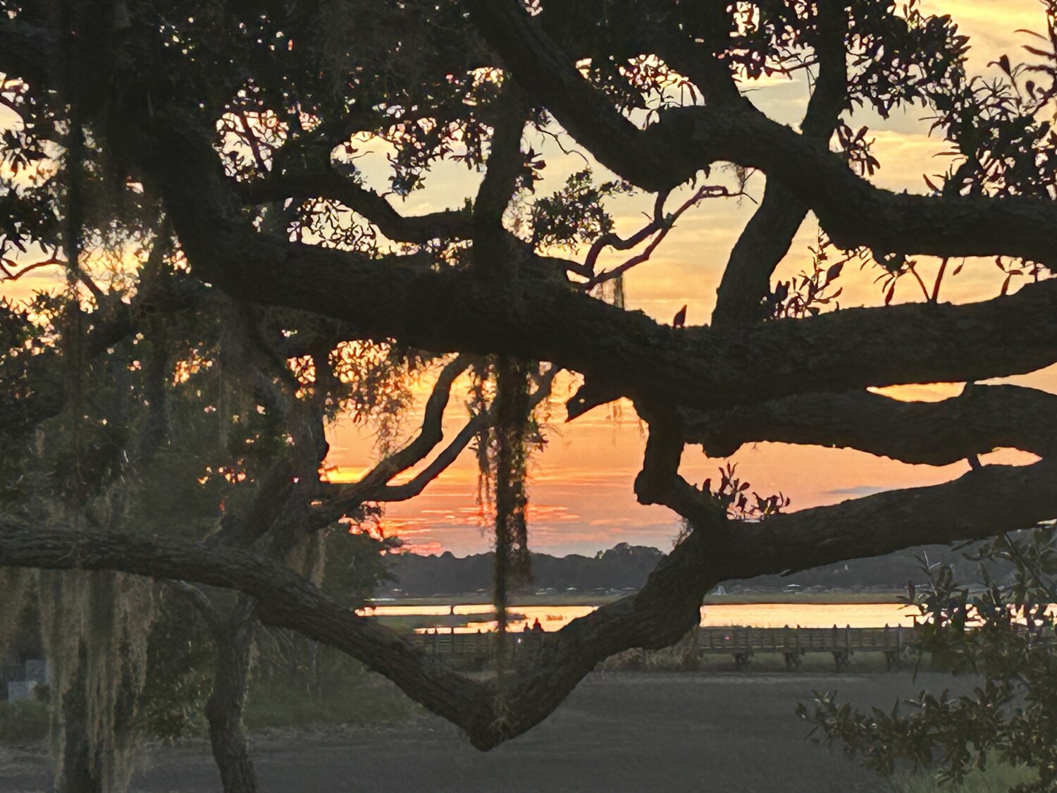 Sun set on Hilton Head Island