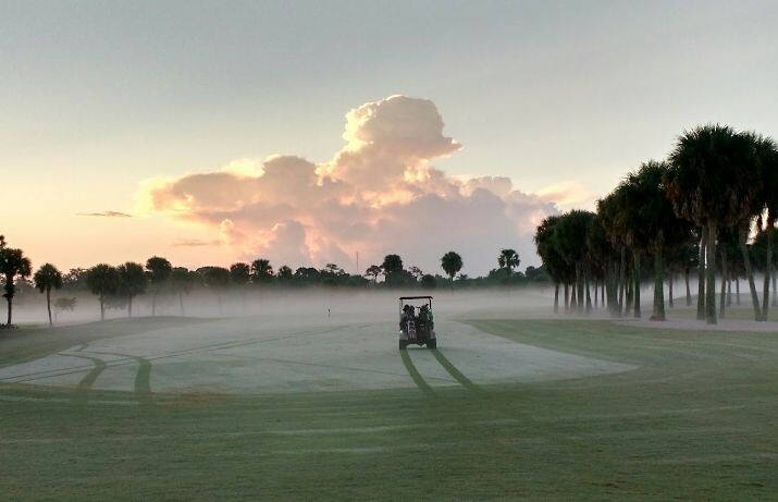 Early morning at Crane Creek Reserve