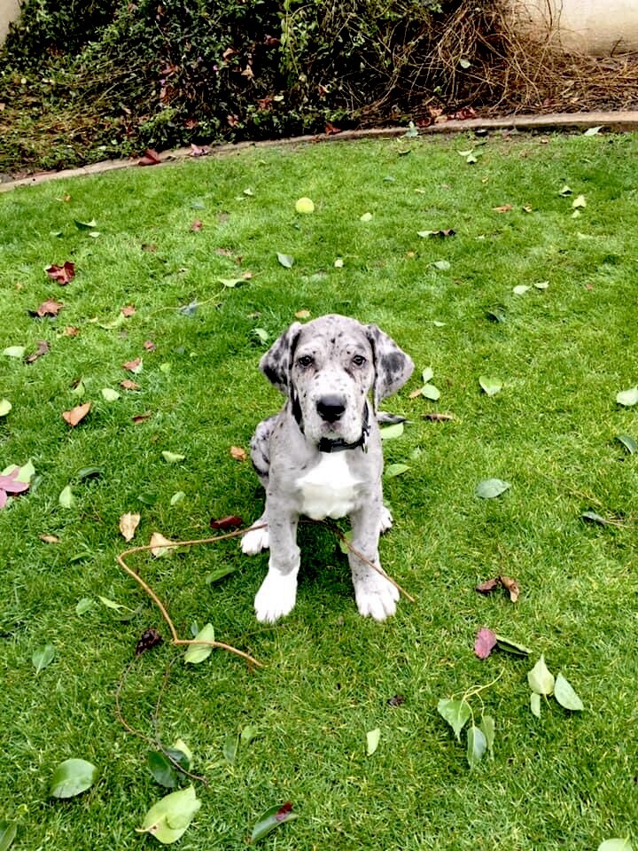 Welcome home, Winston