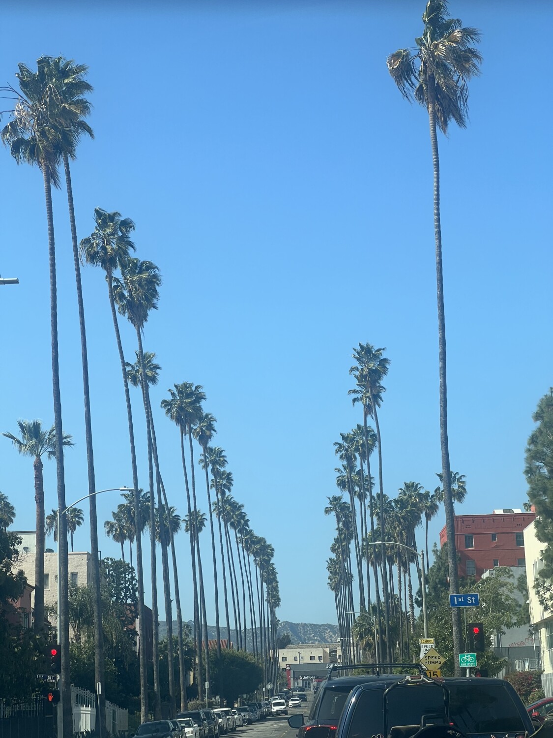 palms of Hollywood