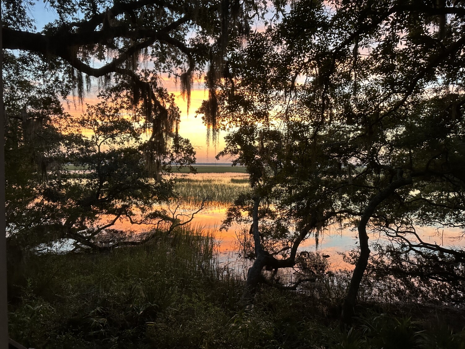 Lowcountry sunrise