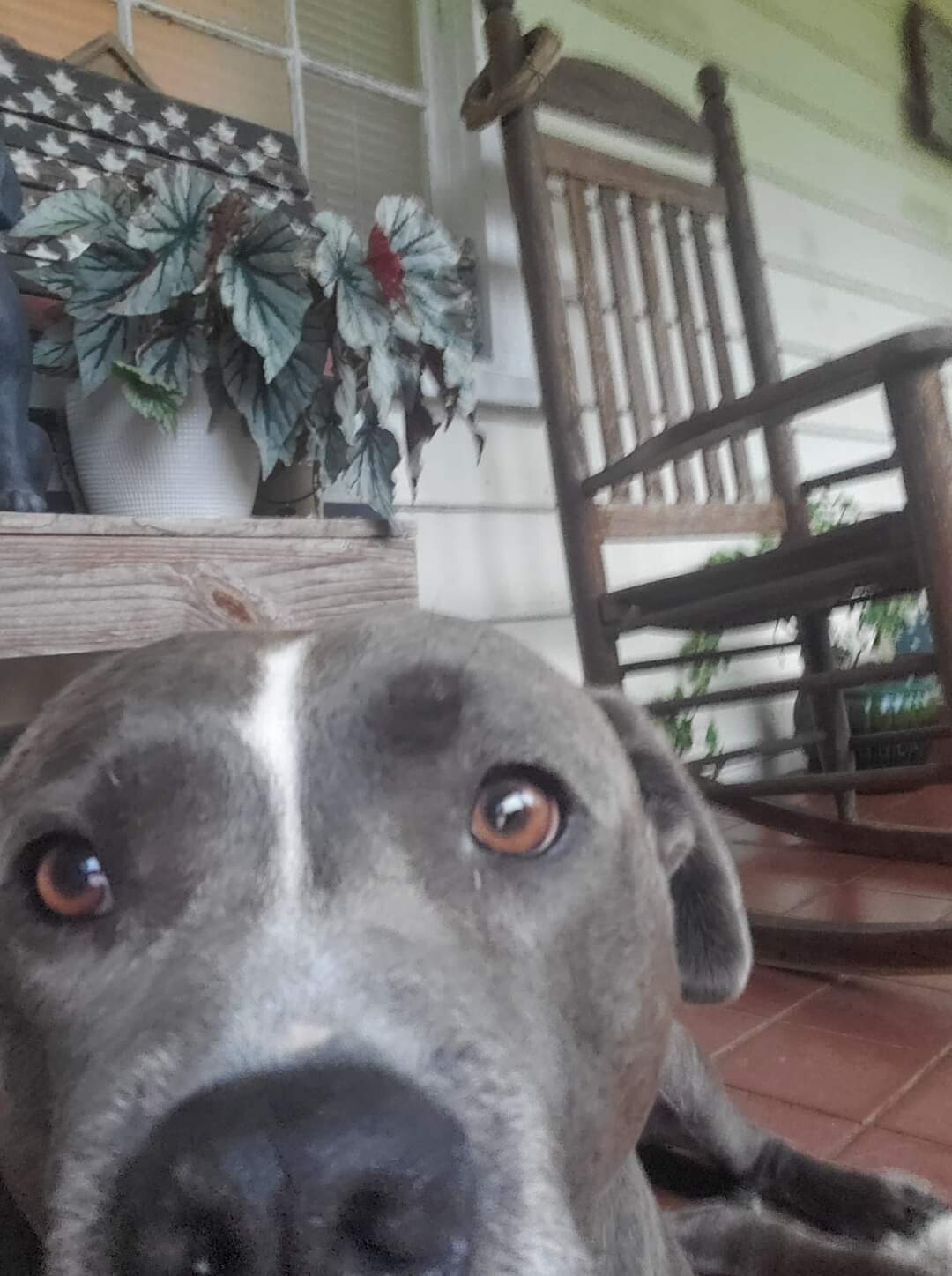 Diesel's selfie.