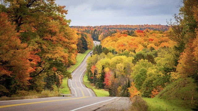 Color my world in the Northwoods