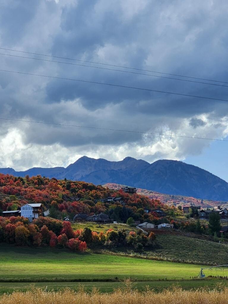 Picture Perfect Seasons of Change