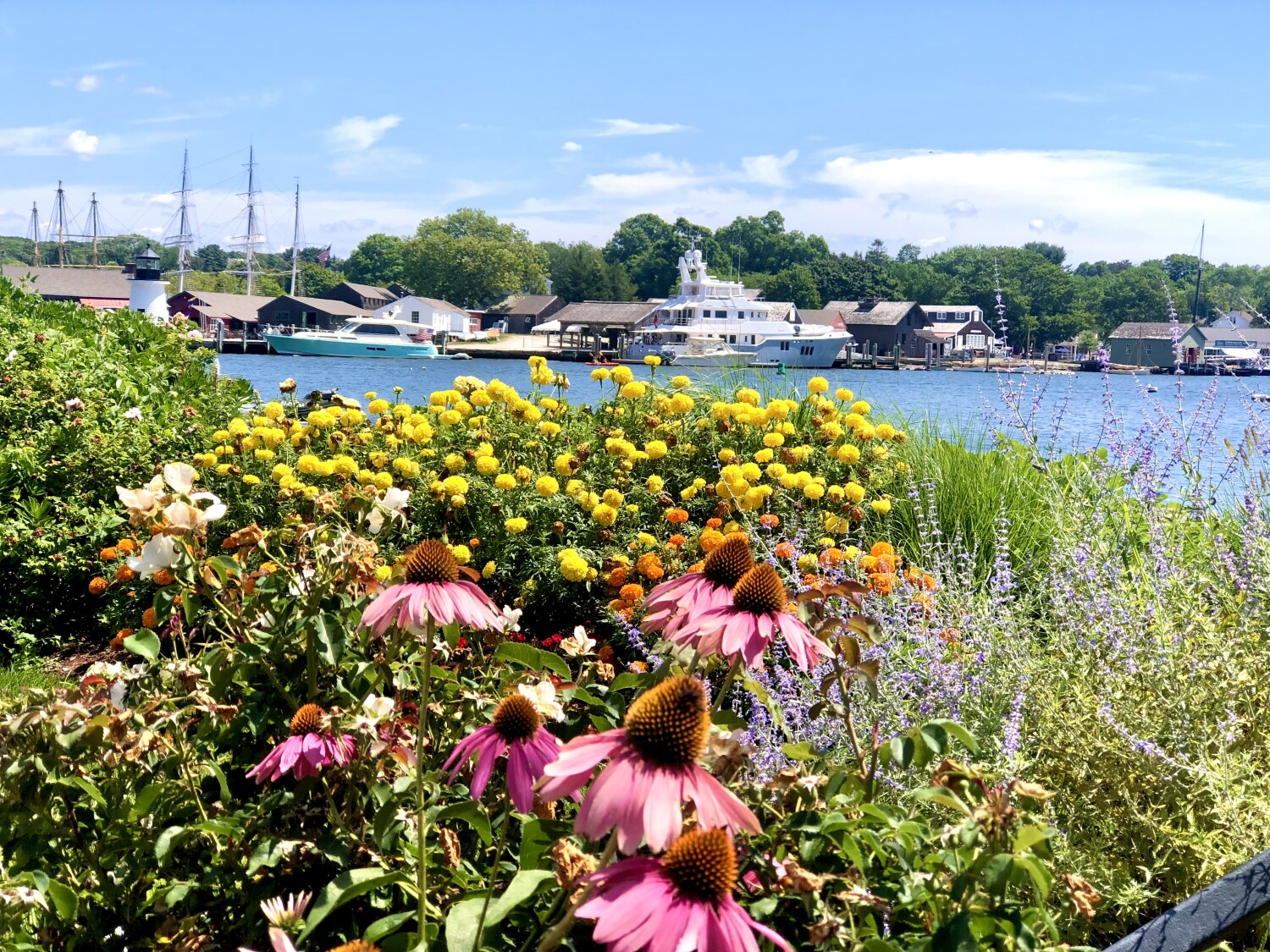 As far as the eye can sea!!!🛥️