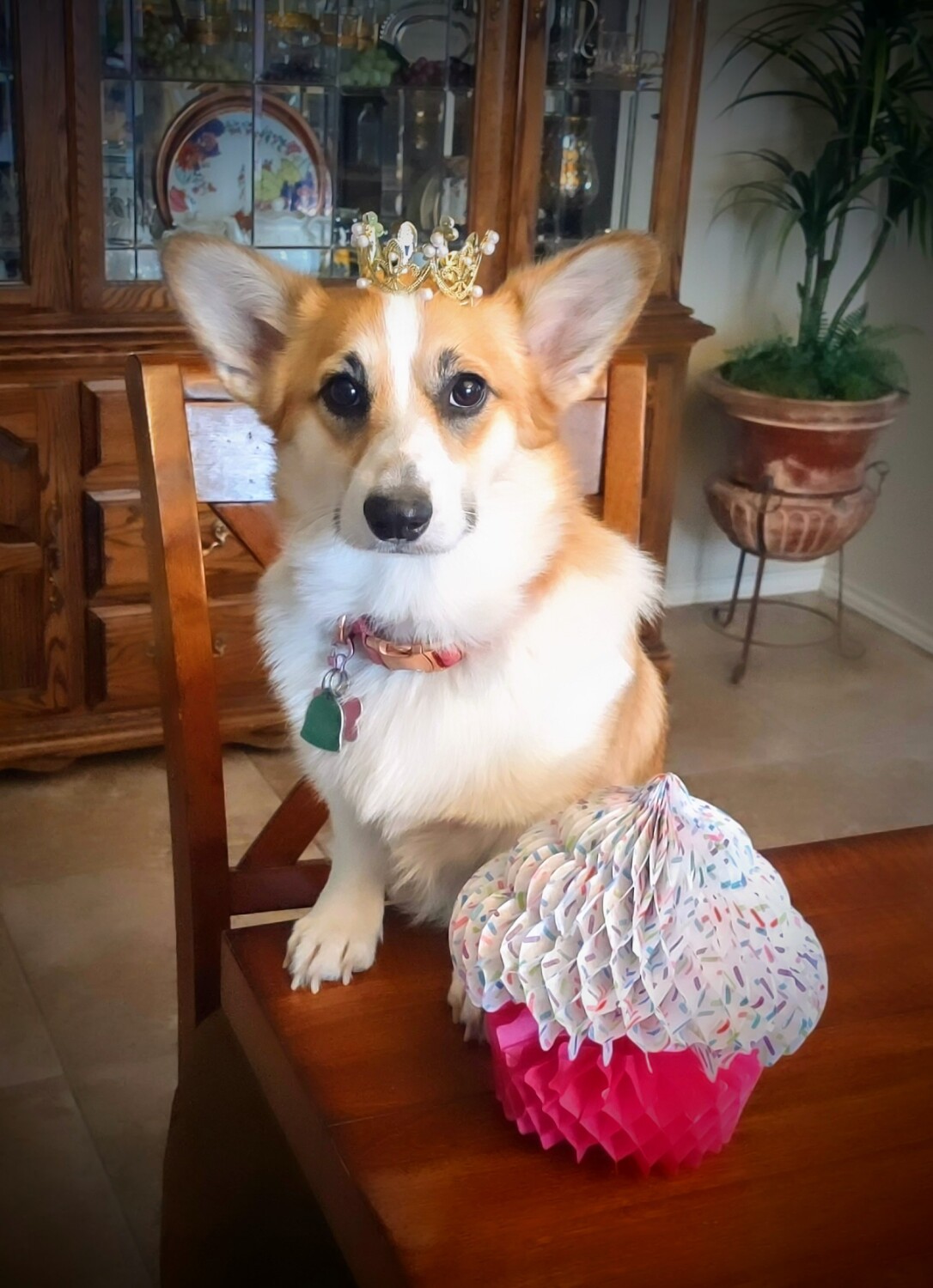 Princess Lucy 🩷👑