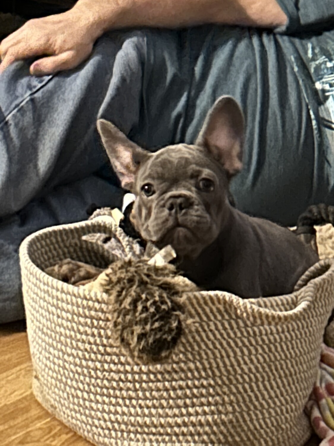 Charleston Chew Spradlin