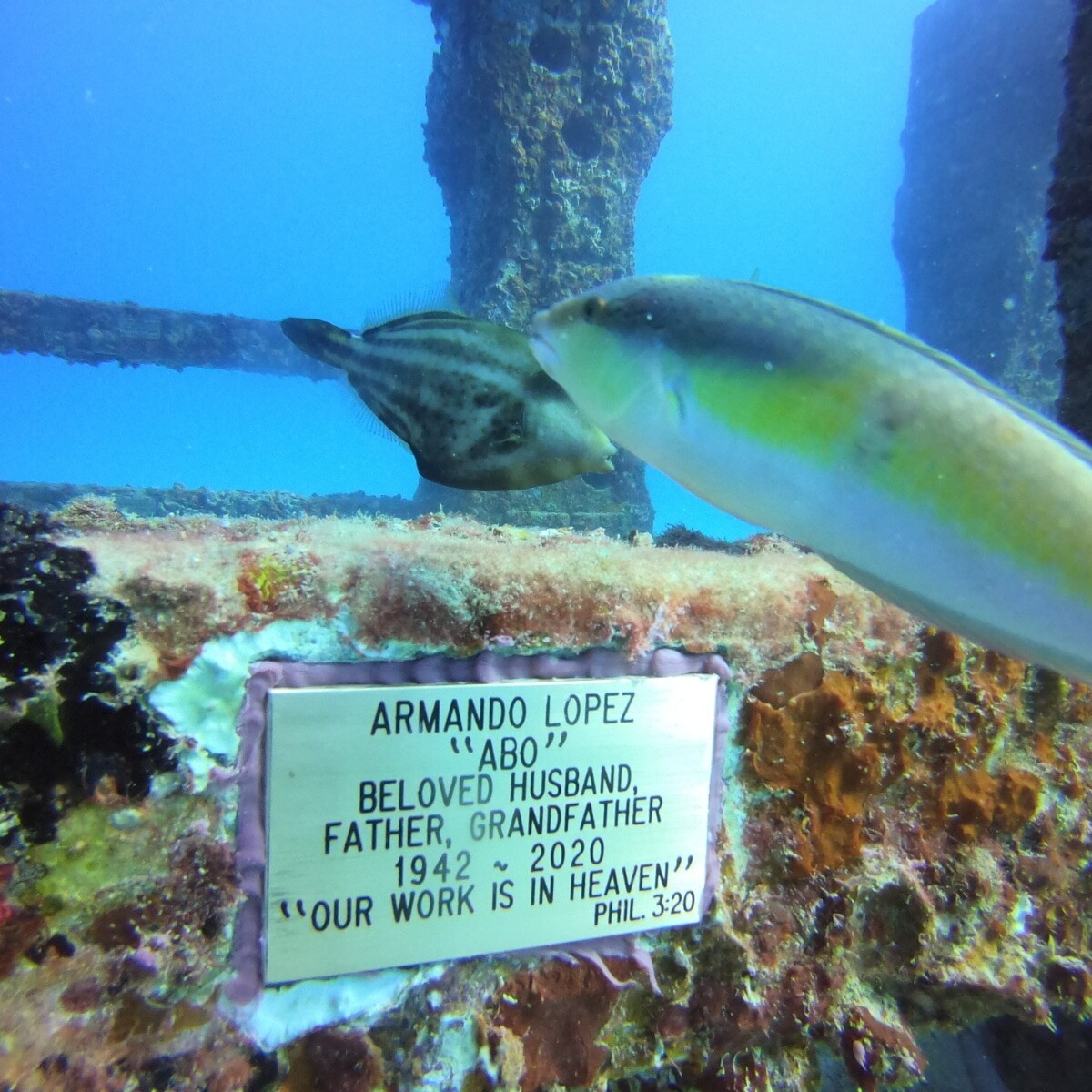 Welcome Armando to your final destination