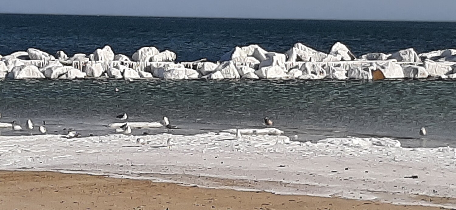 Cold day at the beach