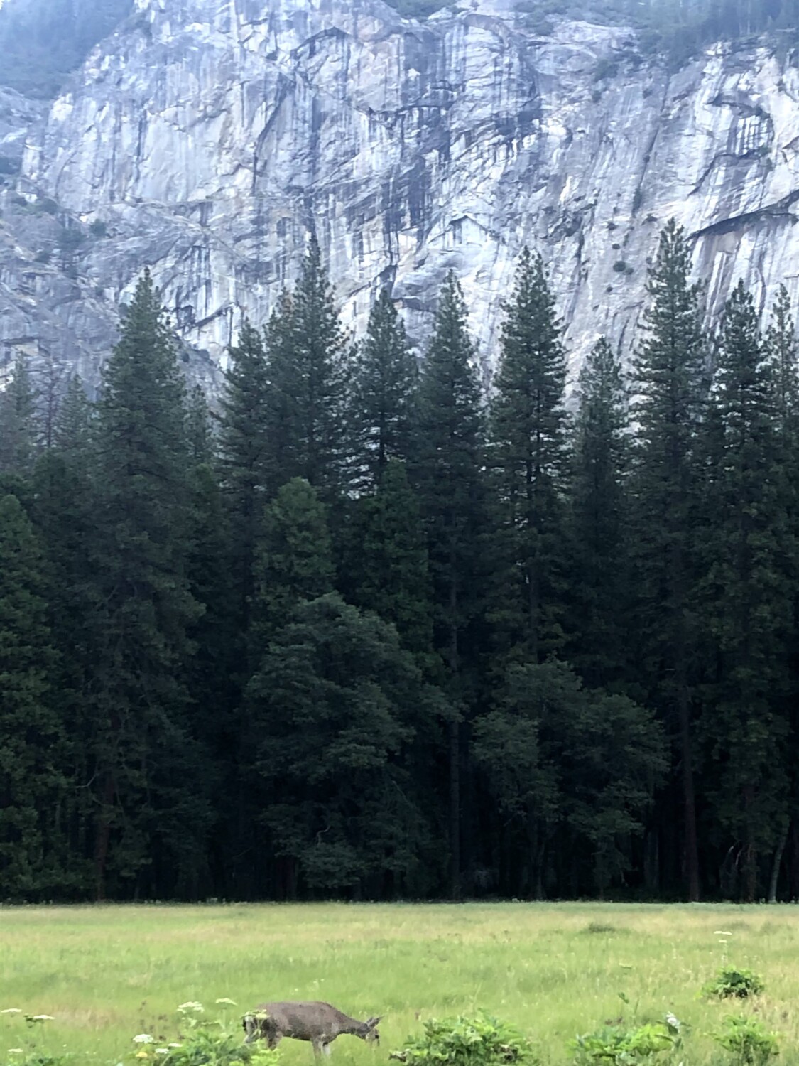 Yosemite