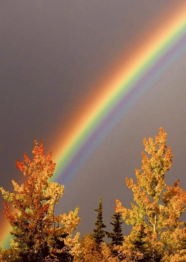 Fall time in Alaska