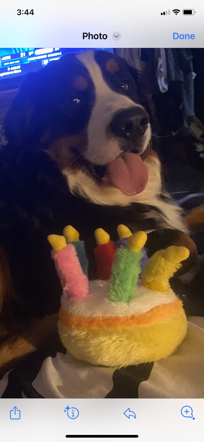 Simbas first birthday