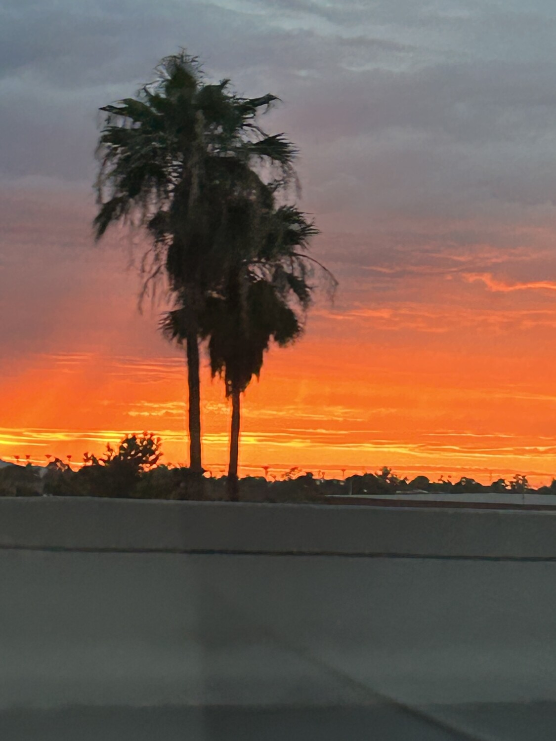 Arizona summer evening .