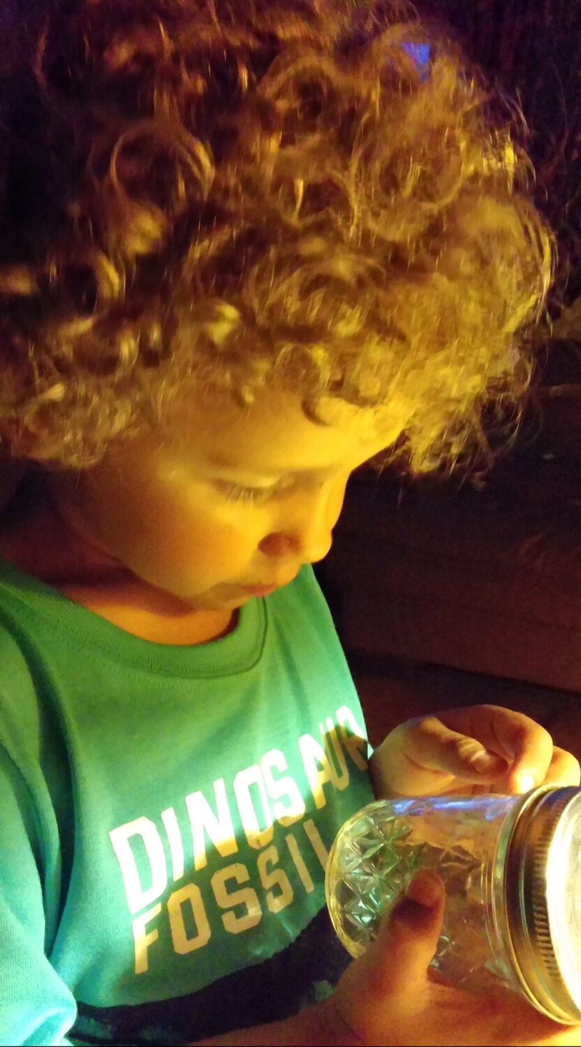 Grandson & lightning bug