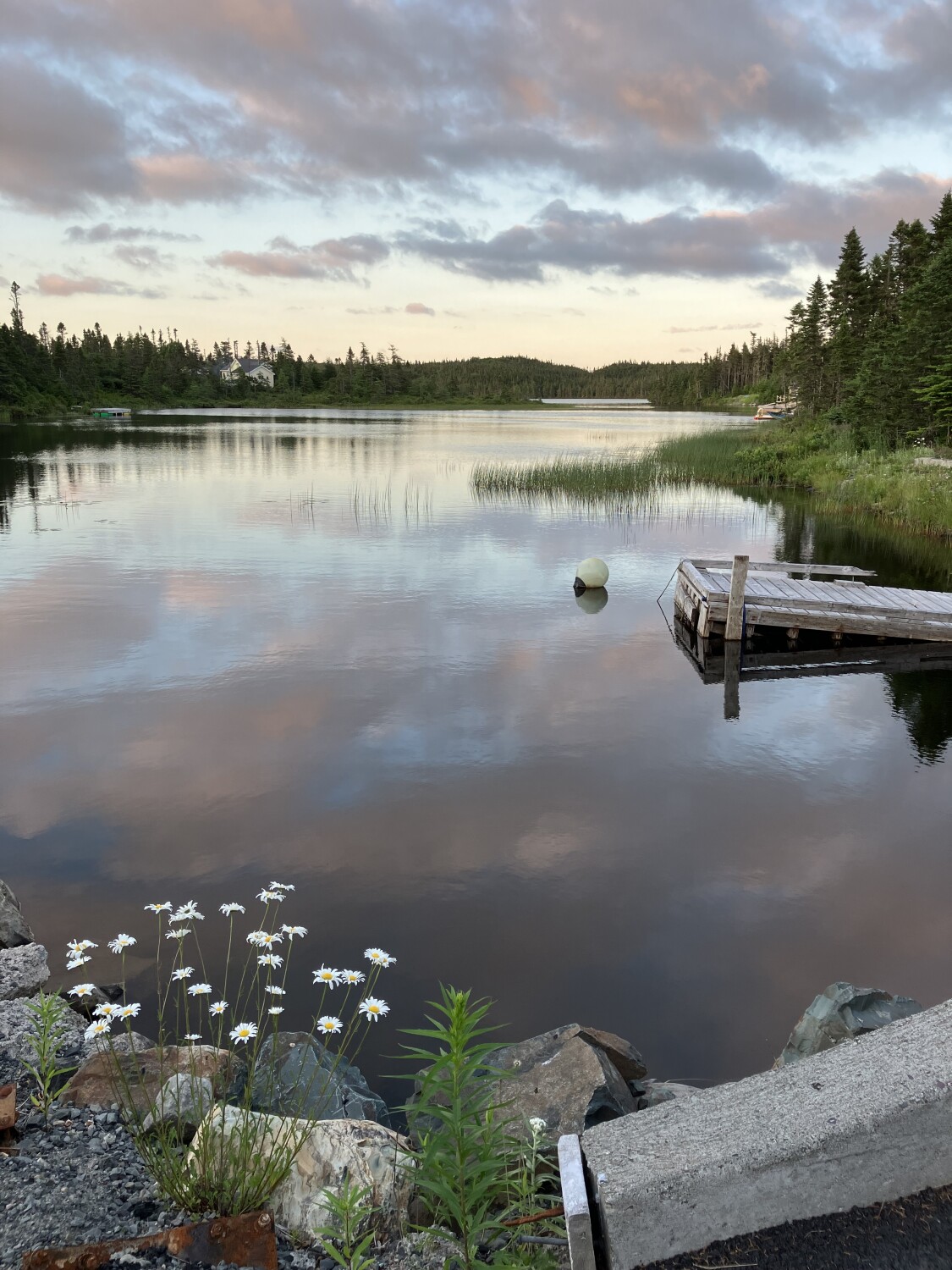 Evening on the Lake