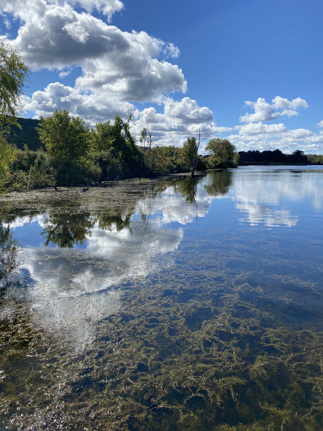 Mirror Image of Clouds