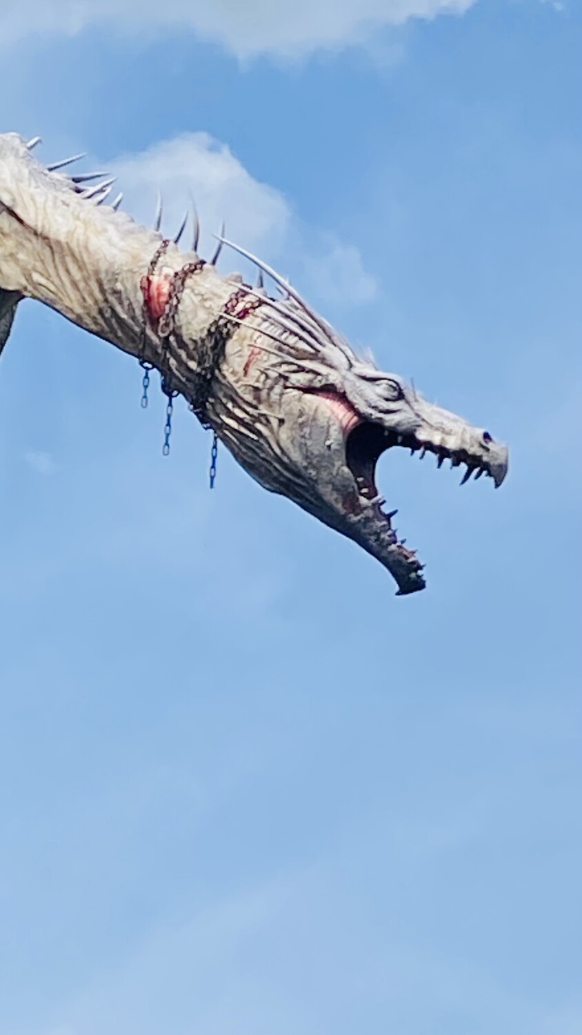 Harry Potter Gringotts Dragon