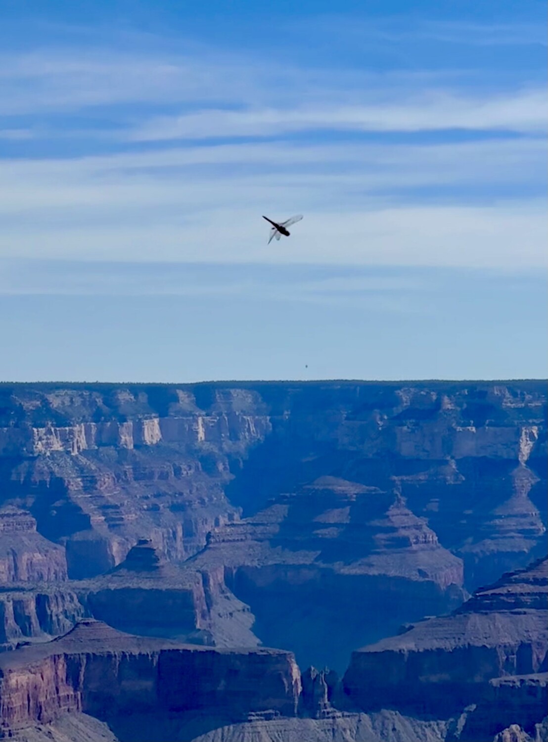 Dragon Over the Grand Canyon