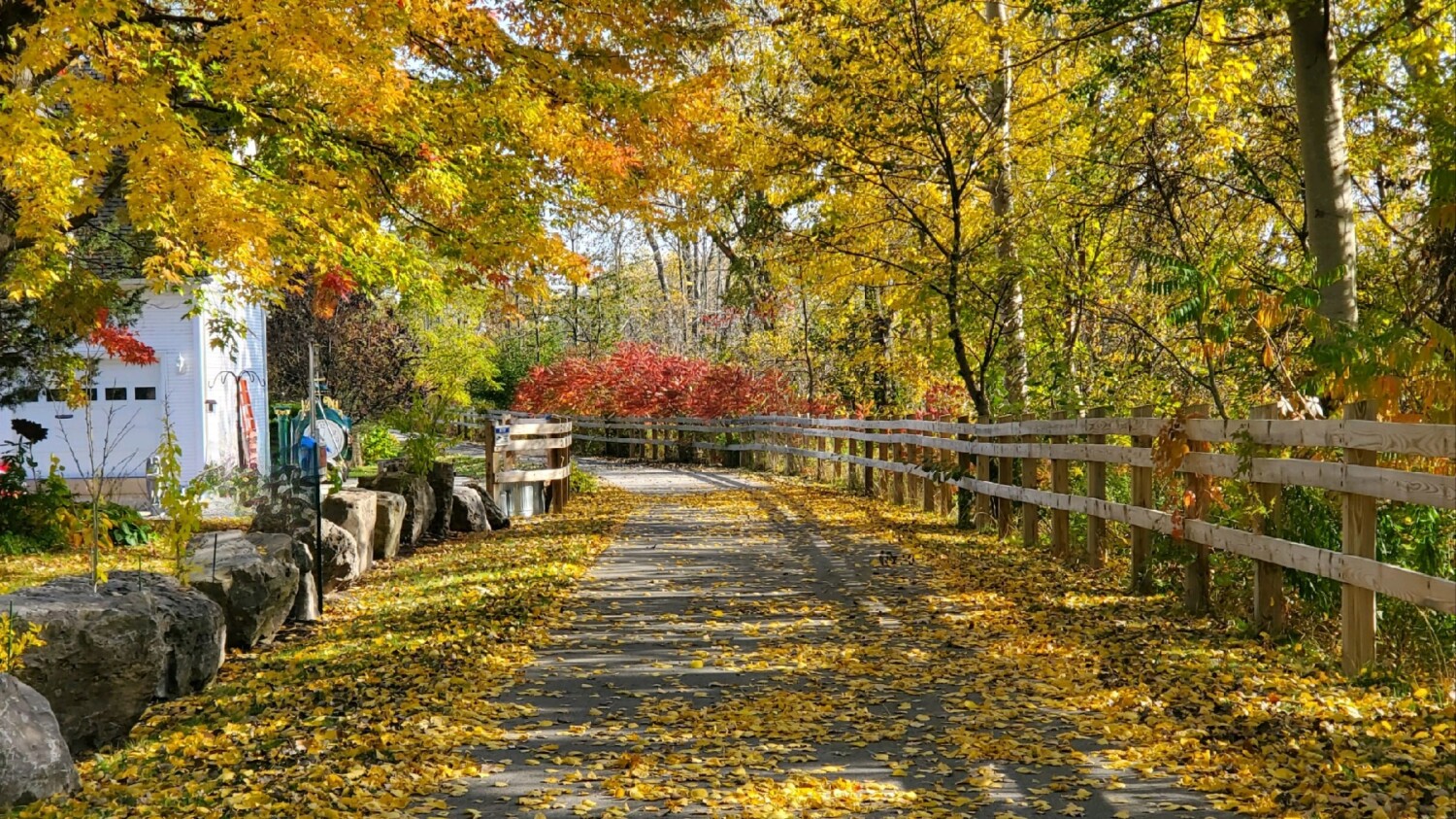 Fall Day, Pendleton NY
