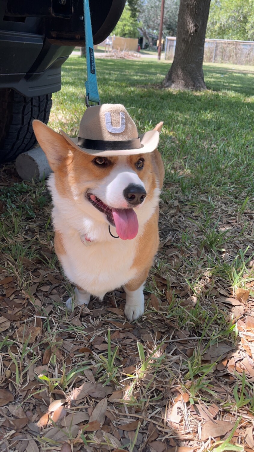 The new sheriff in town.