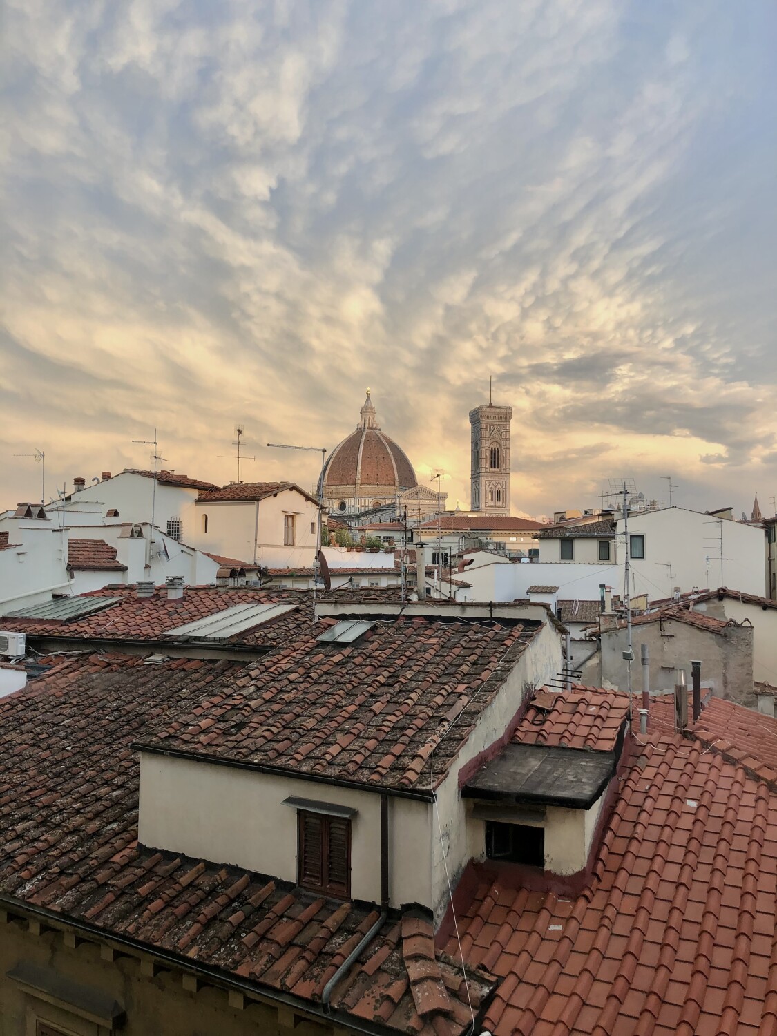 Good Evening Florence