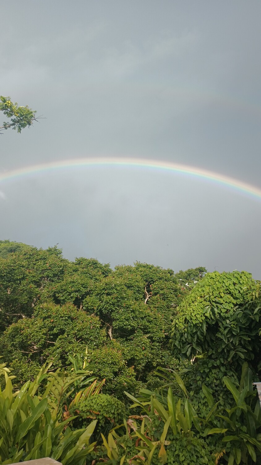 Rainbow over Palma Sola