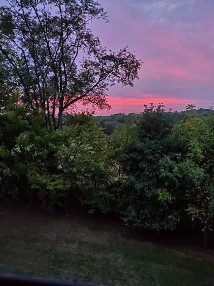 View from my balcony