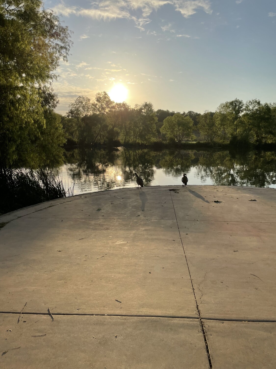 Sitting by the river