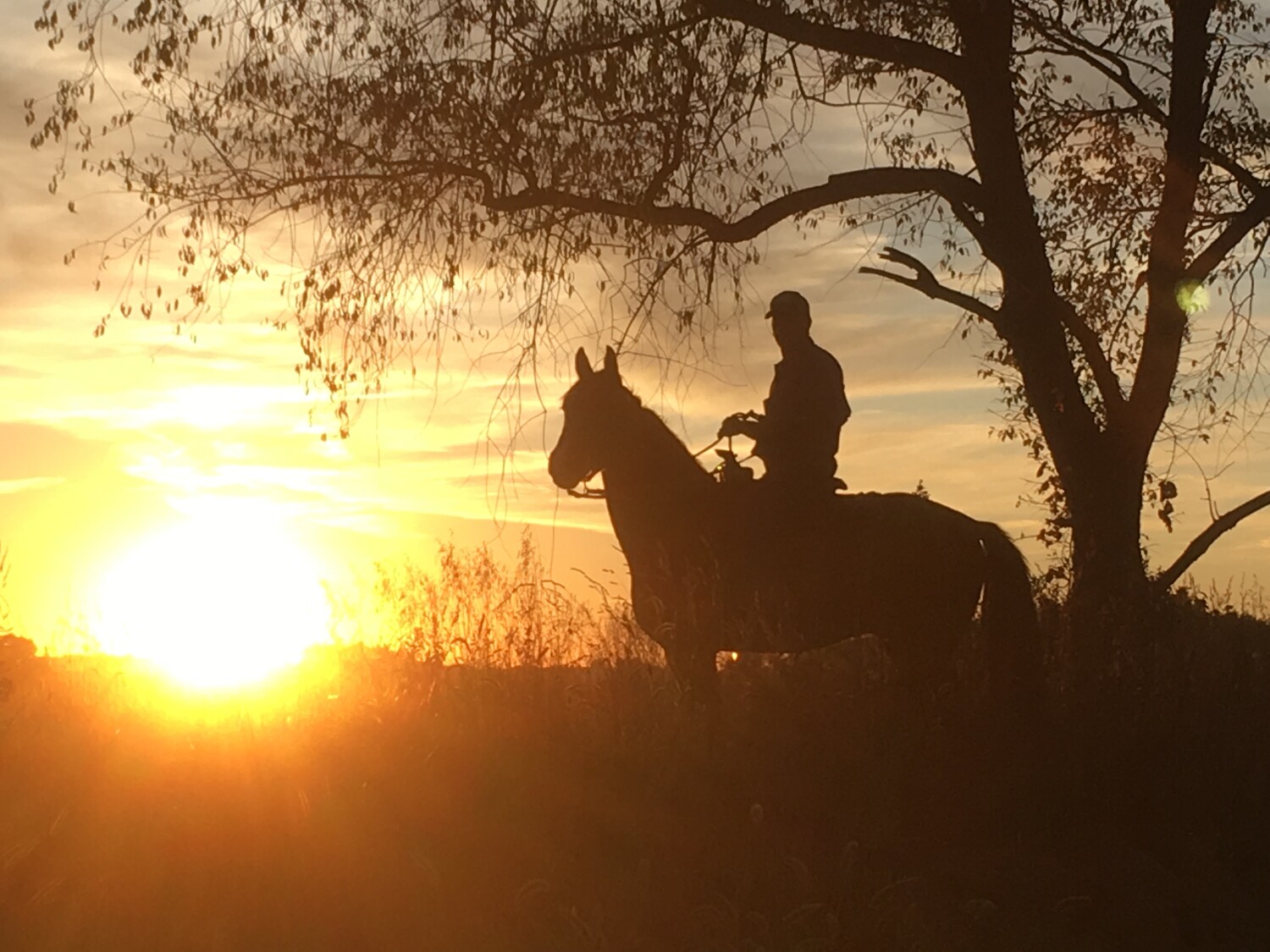 Riding into the Sunset