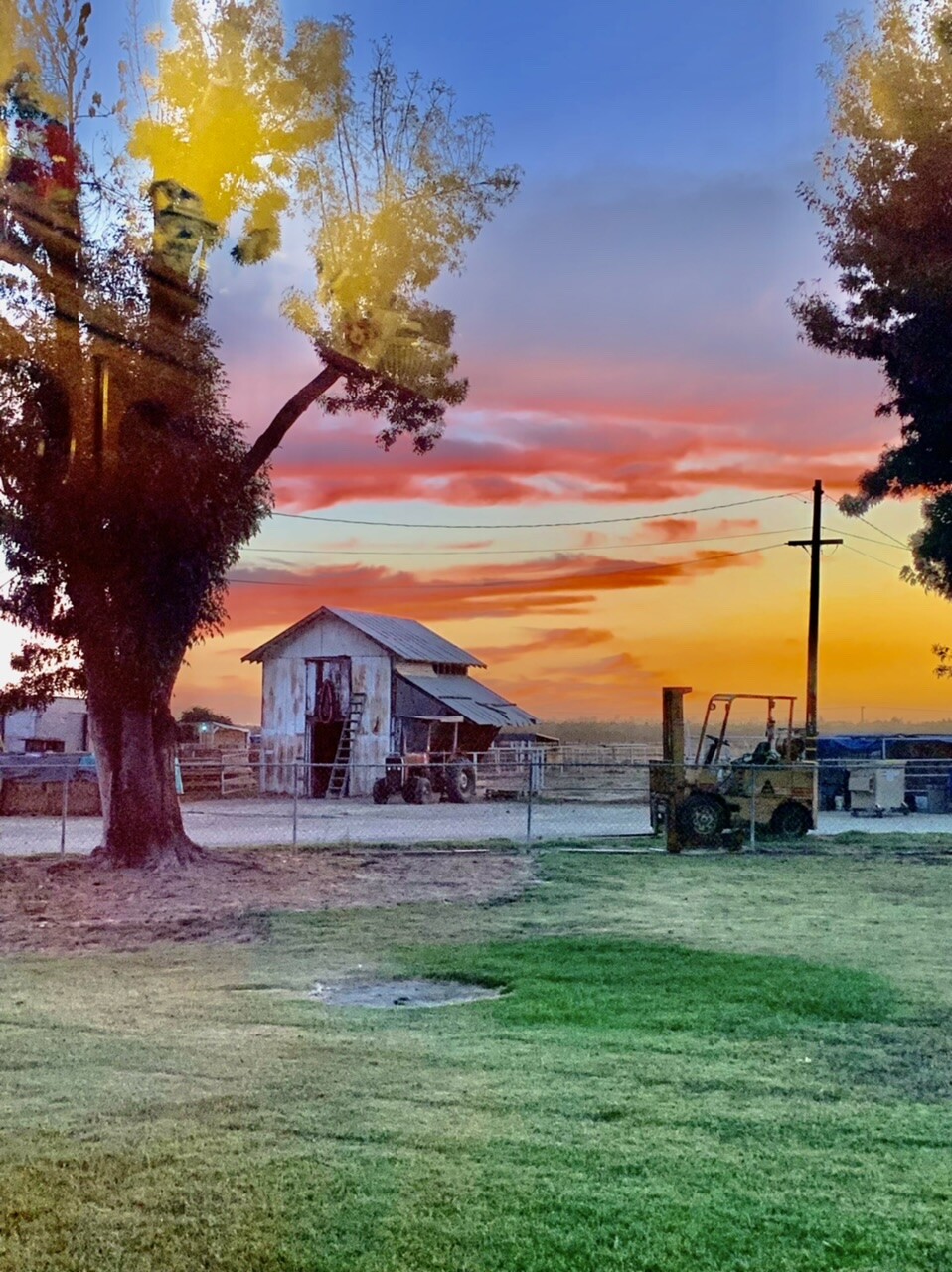 Looking out my parents kitchen windows !