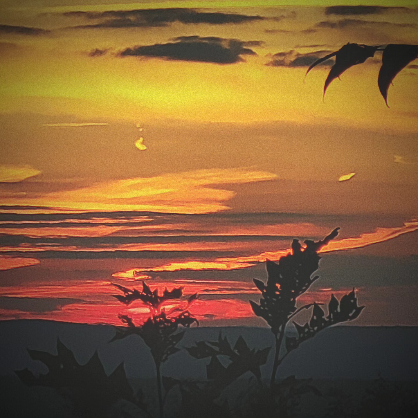 Sunset over the valley