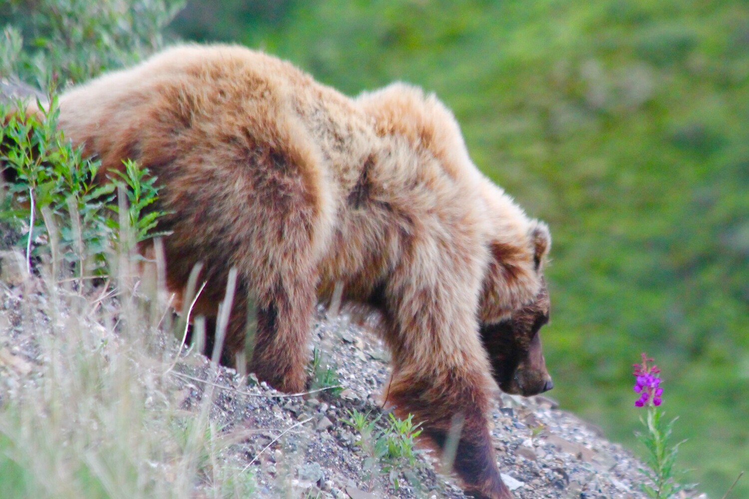 Stop and smell the flowers