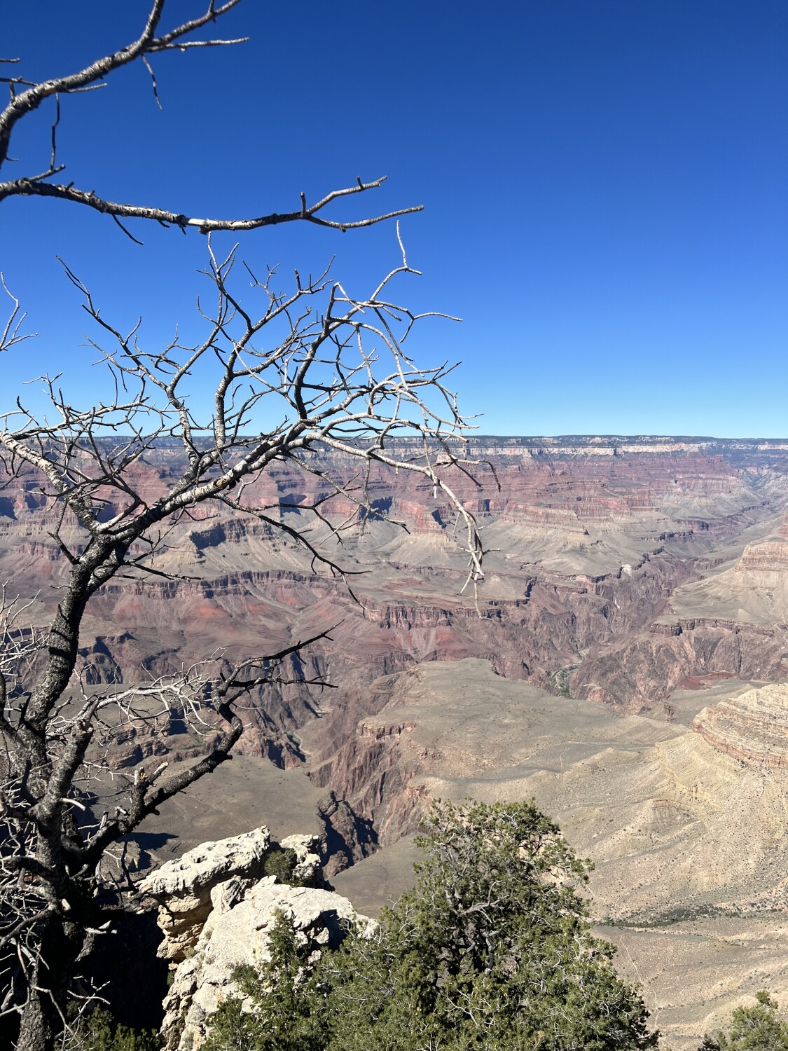 Stay alive, Grand Canyon!
