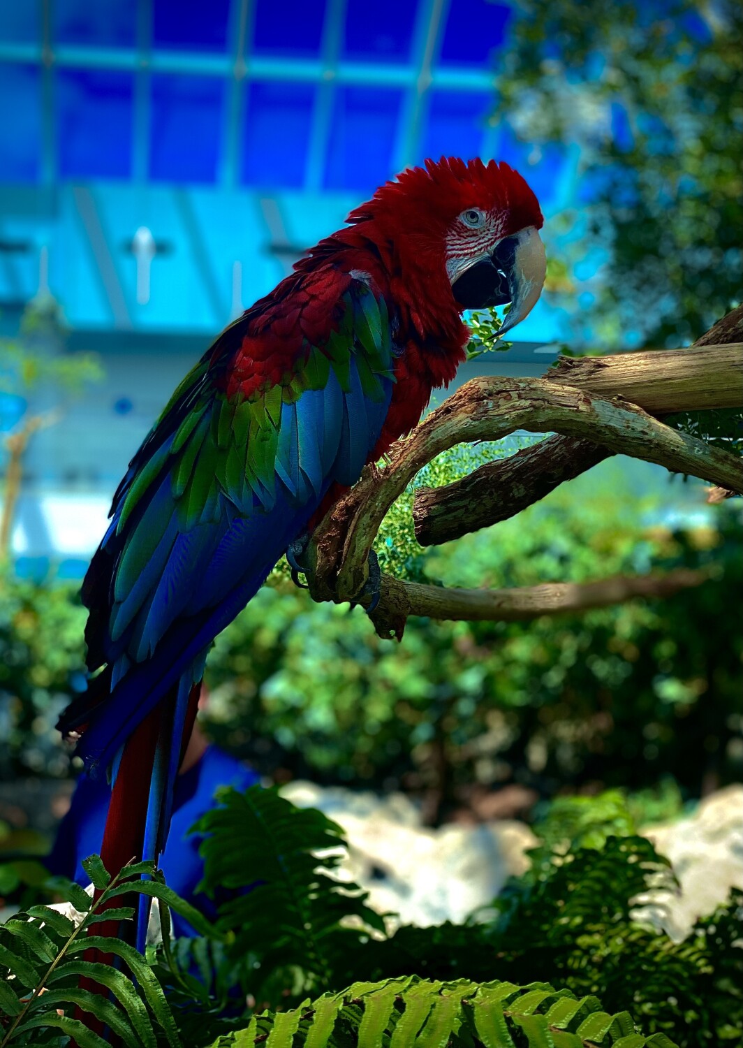 God’s handiwork in living color!
