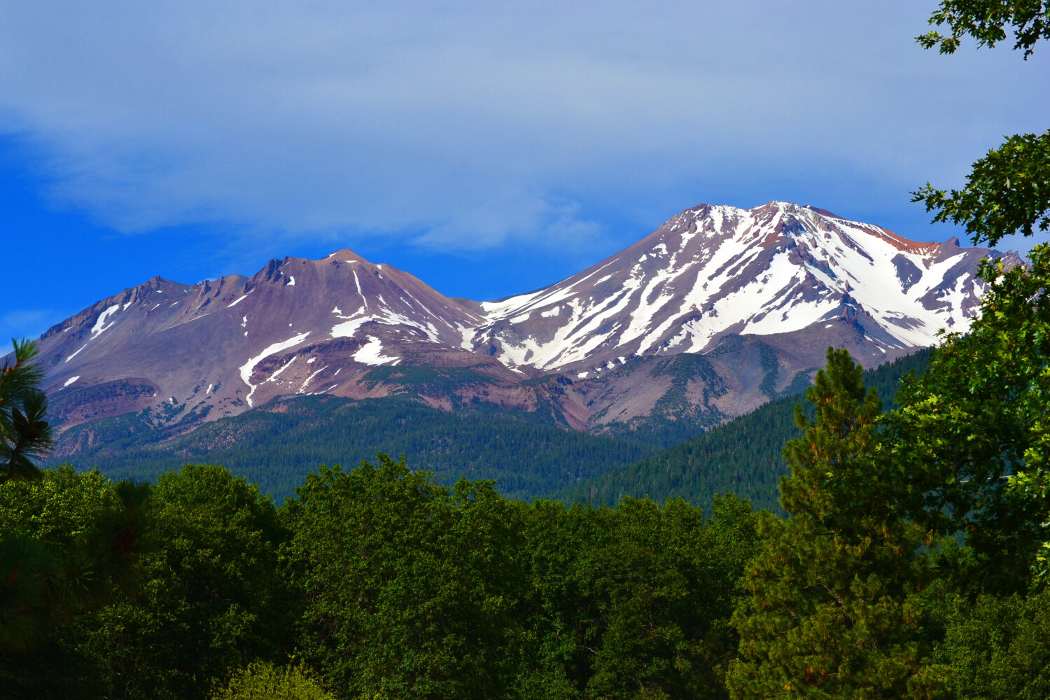 Mt. Shasta. Northern California
