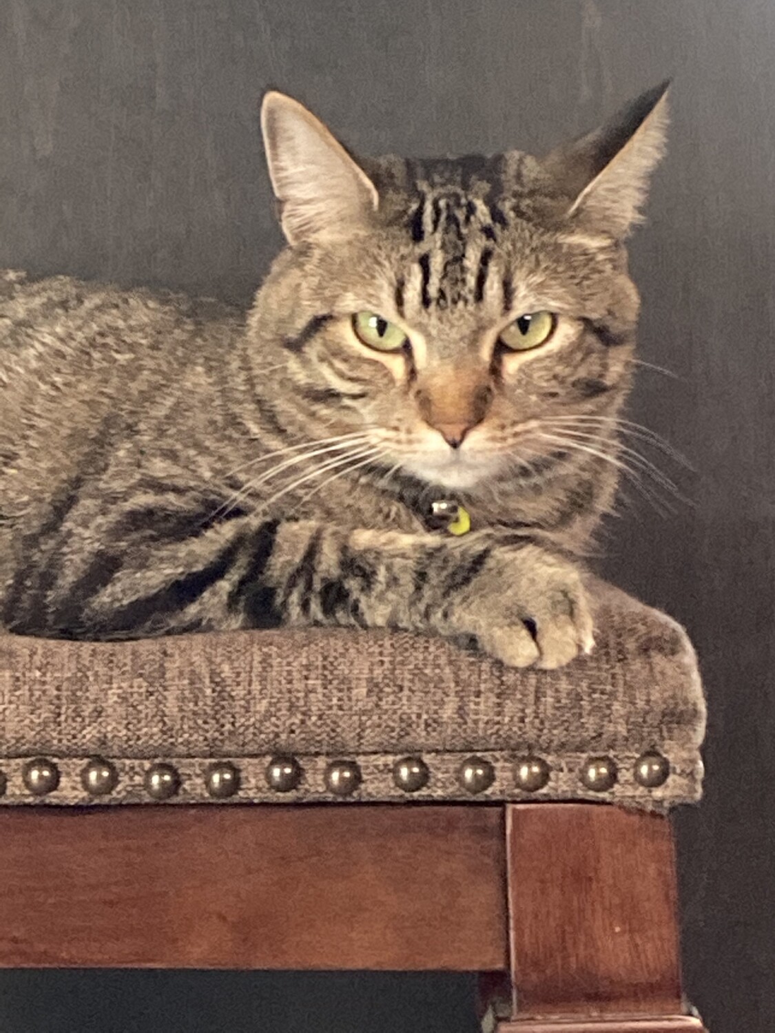 Don’t call me cheese