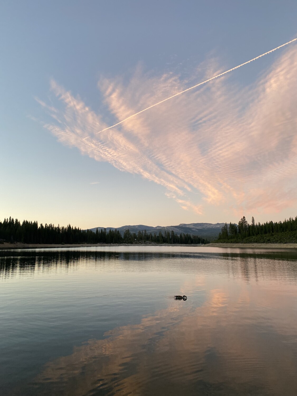 The Ice House Reservoir