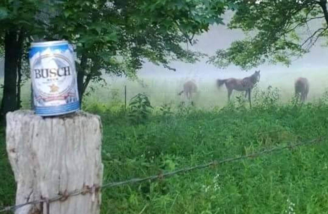 Kentucky Foggy Morning
