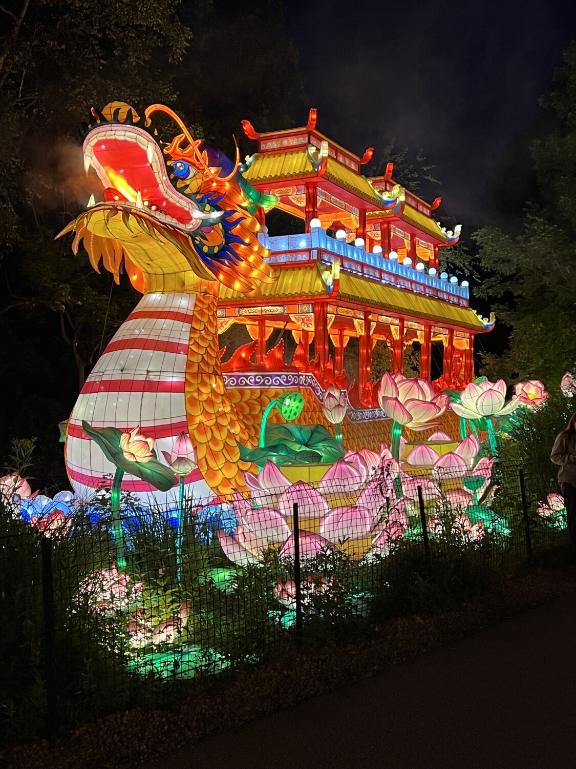 Asian Lantern Festival