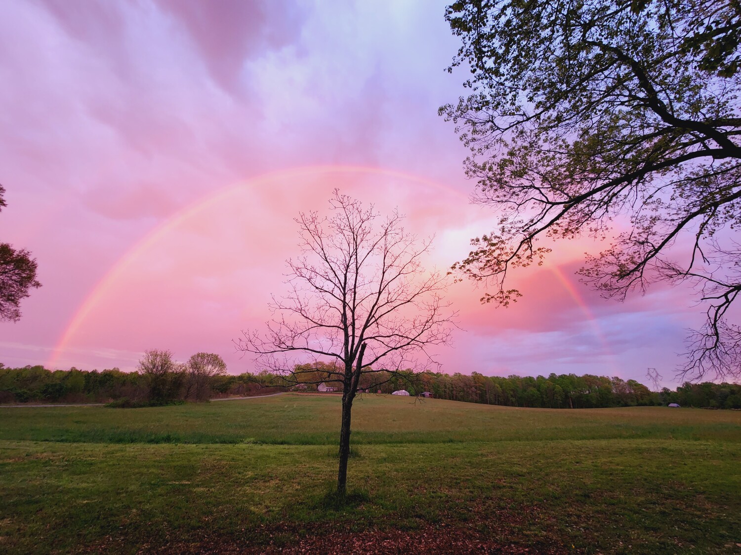 Rainbow late afternoon