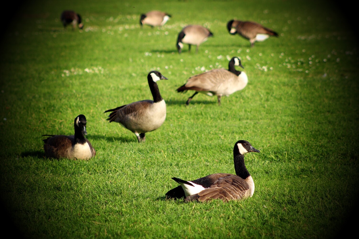 “Be your own”-Everyone has different perspective